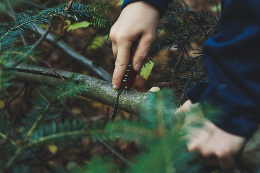 A hand using a folding knife to cut a branch in the forest as part of a survival activity.